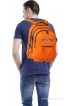 American Tourister 14 inch Laptop Backpack(Orange)
